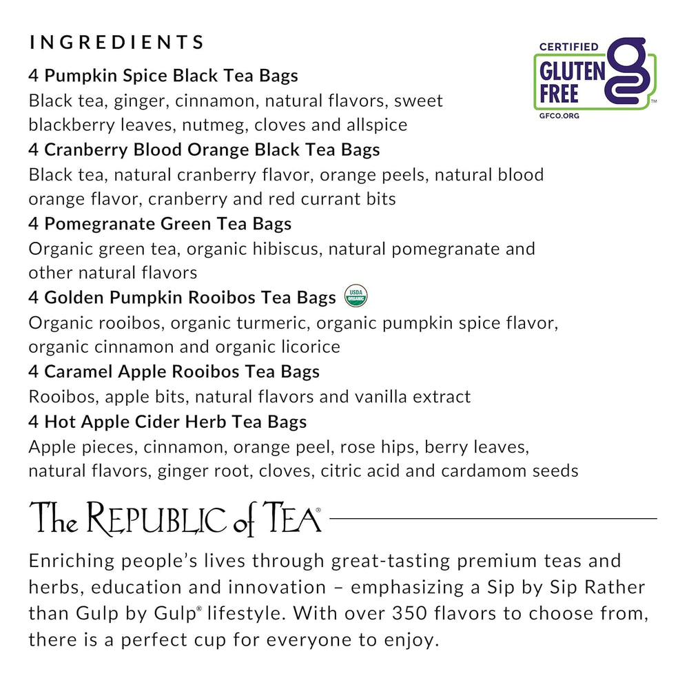 Republic of Tea Fall Harvest Tea Cube