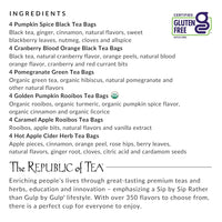 Republic of Tea Fall Harvest Tea Cube