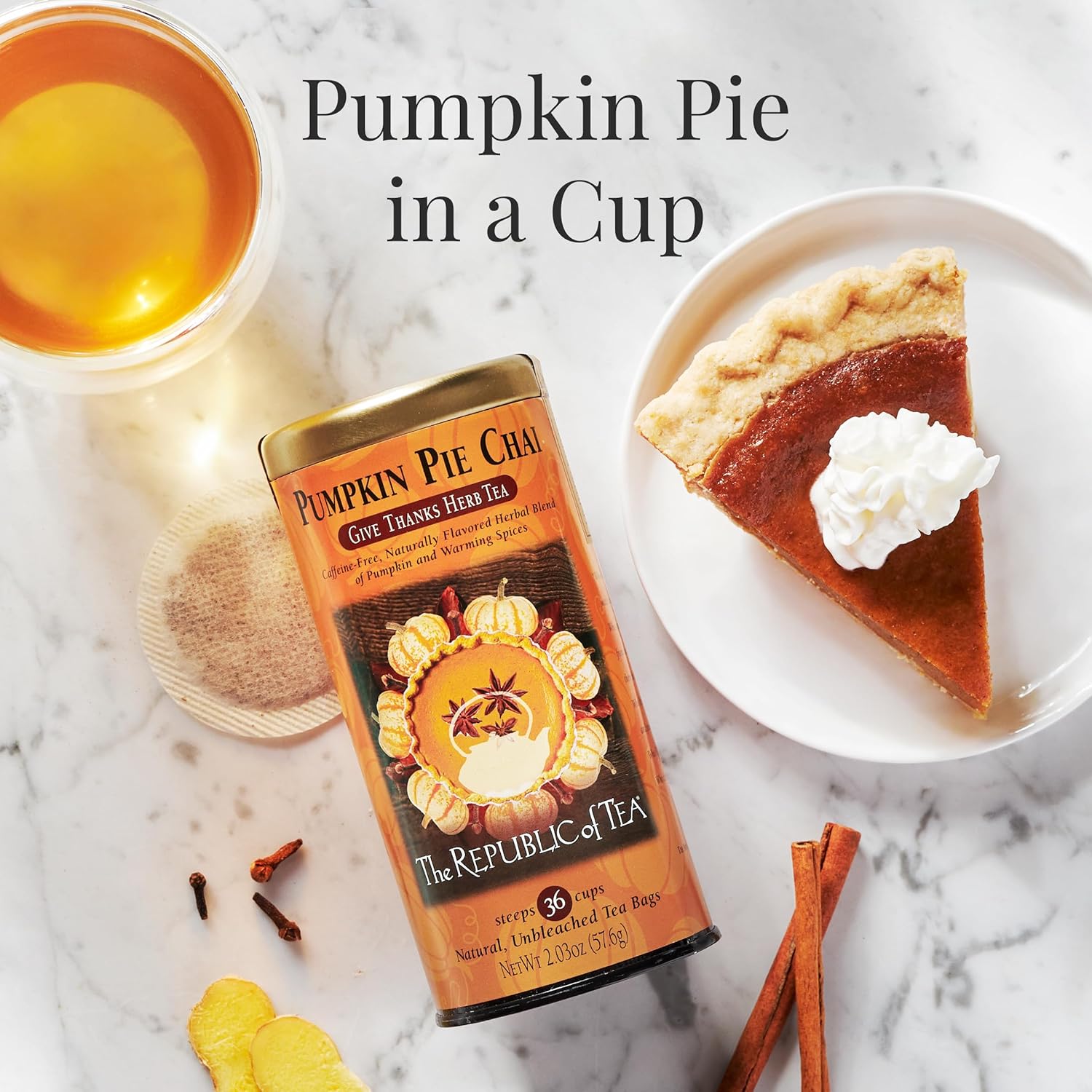 Republic of Tea Pumpkin Pie Chai