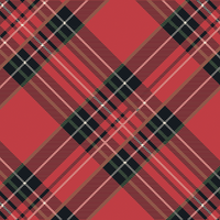 Hester & Cook Red Plaid  Napkins