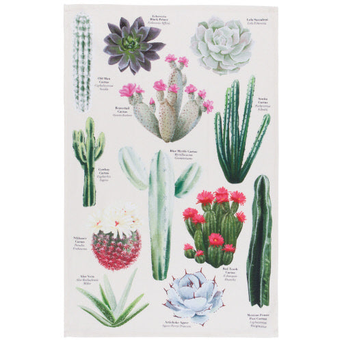 Botanical Cotton Dishtowel