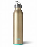 SWIG Stainless Steel Insulated Bottle